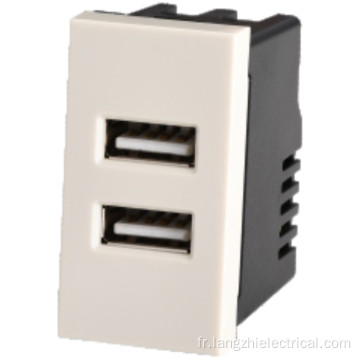 Prise USB à 2 ports 2.1a 5V (110-240V ~)
